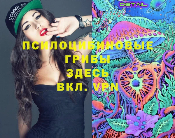 не бодяженный Нязепетровск
