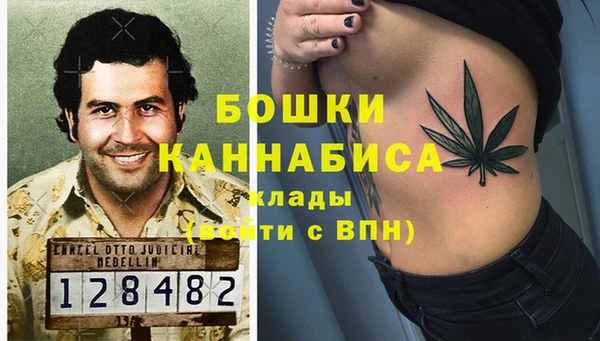 МДПВ Новозыбков