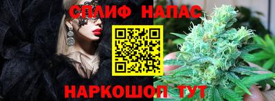 jwh Гусев