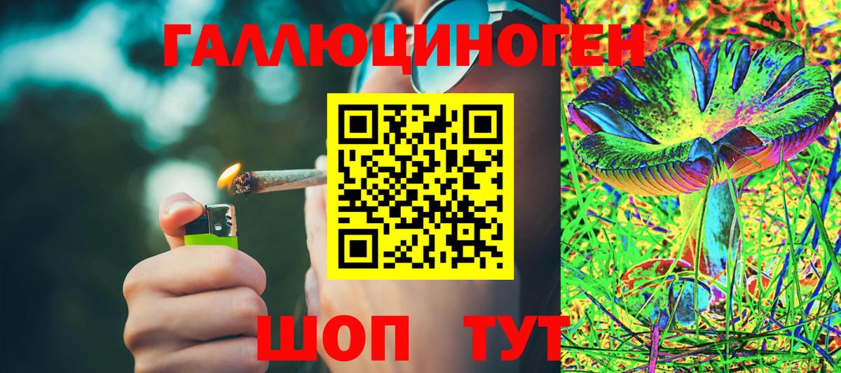 Псилоцибиновые грибы Psilocybe Корсаков