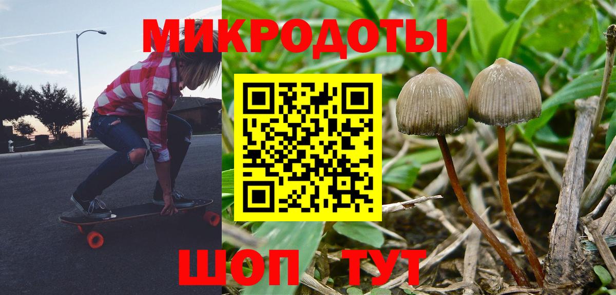 Псилоцибиновые грибы мухоморы  Вход с VPN  Корсаков 