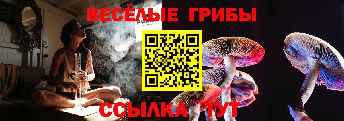 Ляпка  Хэш  A PVP  Вход с VPN  Корсаков  Меф  25-NBOMe  Бошки Шишки  АМФЕТАМИН  Кокаин 